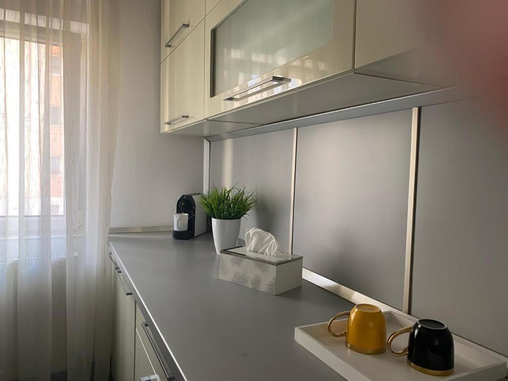 Apartament Doua Camere บายามาเร ภายนอก รูปภาพ
